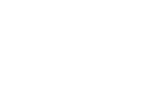pp-dynamics-logo-white-2